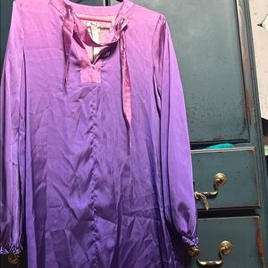 Purple Long Sleeve Blouse or dress
